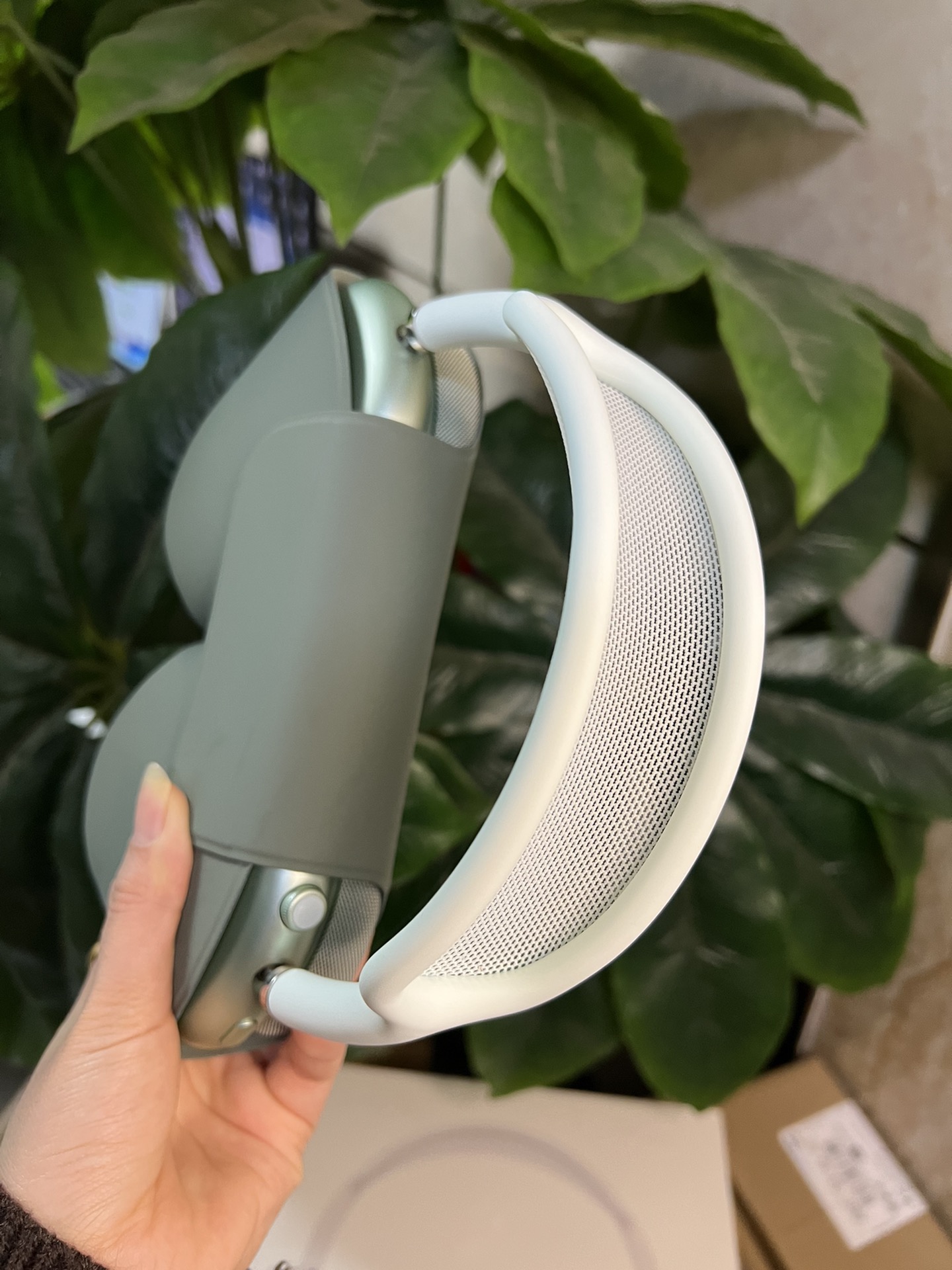 Max V3 (1st Generation) 5 Colour Collection - Lightning