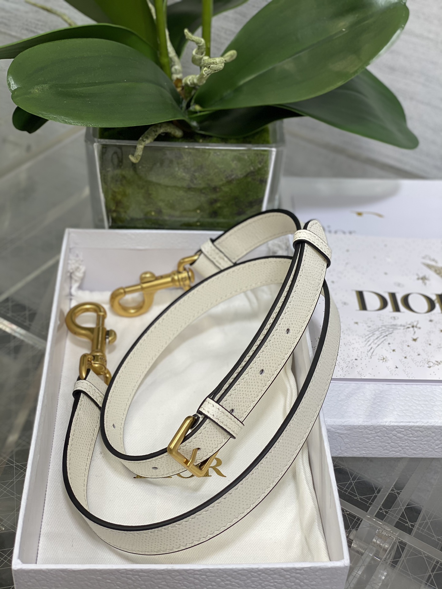 [TOP] Christian Dior Saddle Bag 25cm - White - 711 Luxury