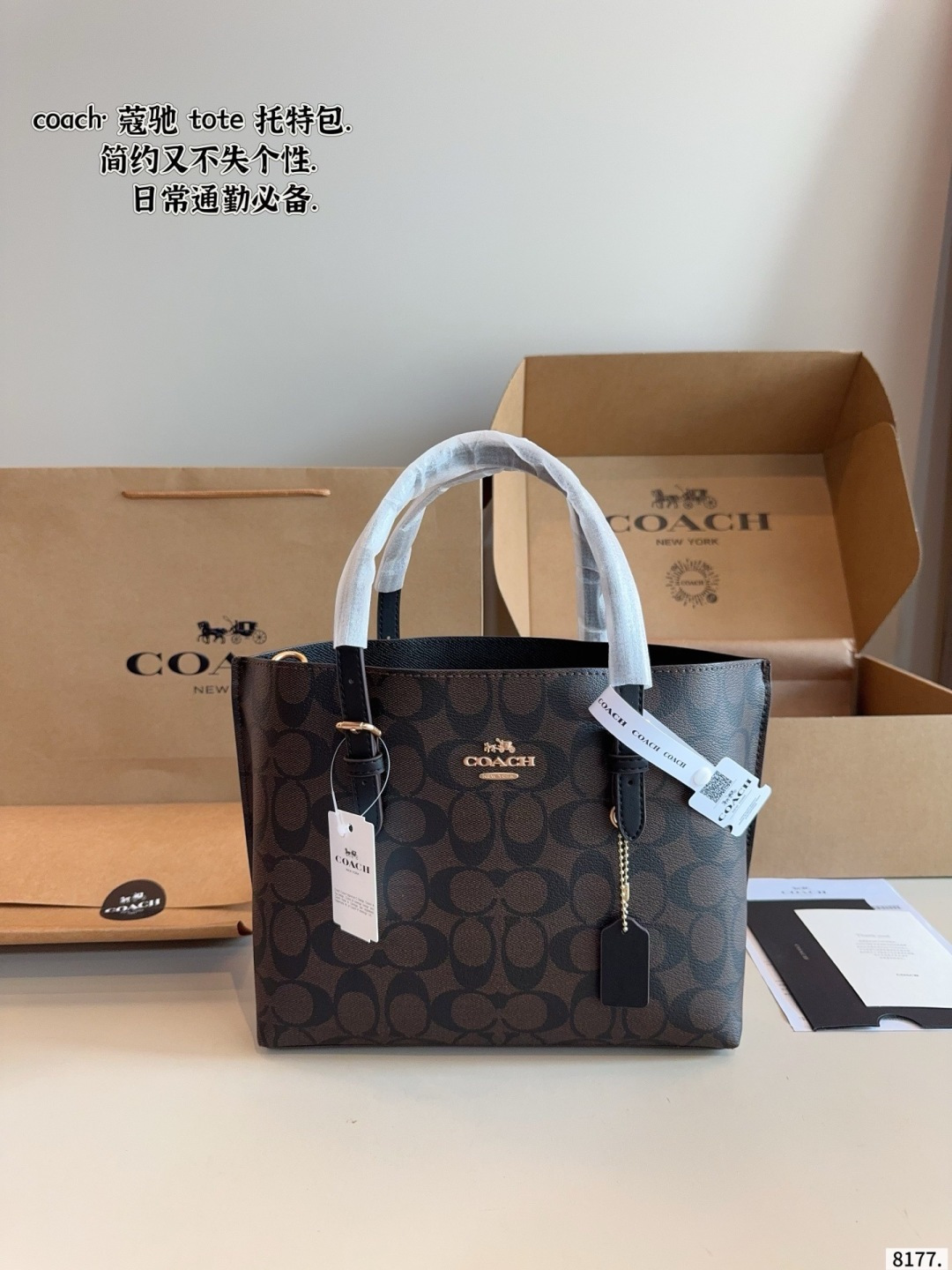 Coach Mollie Canvas Tote Bag with Leather Accents (Replica)