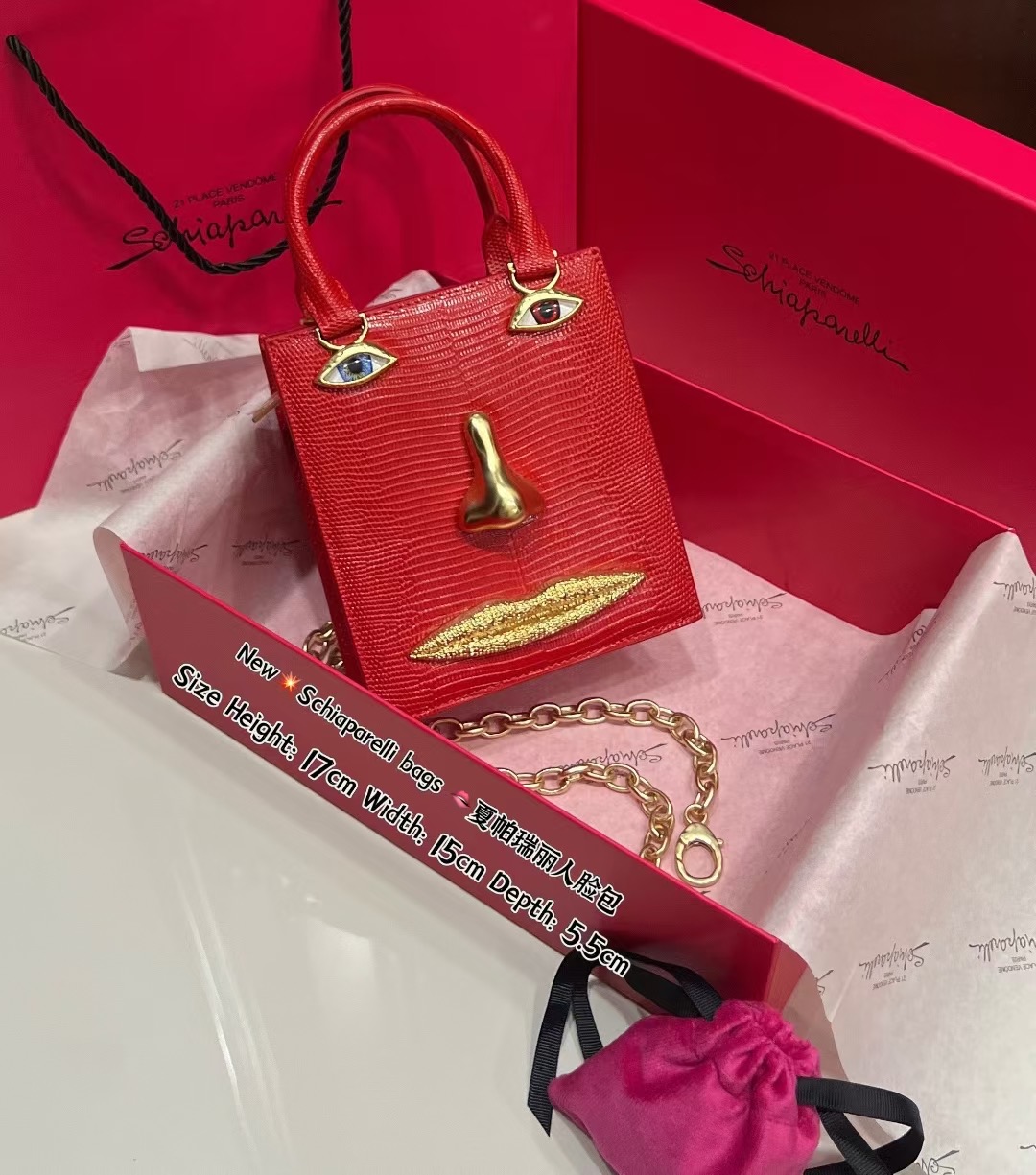 [TOP] Schiaparelli Anatomy Face Bag 17x15x5.5cm - Red - 711 Luxury