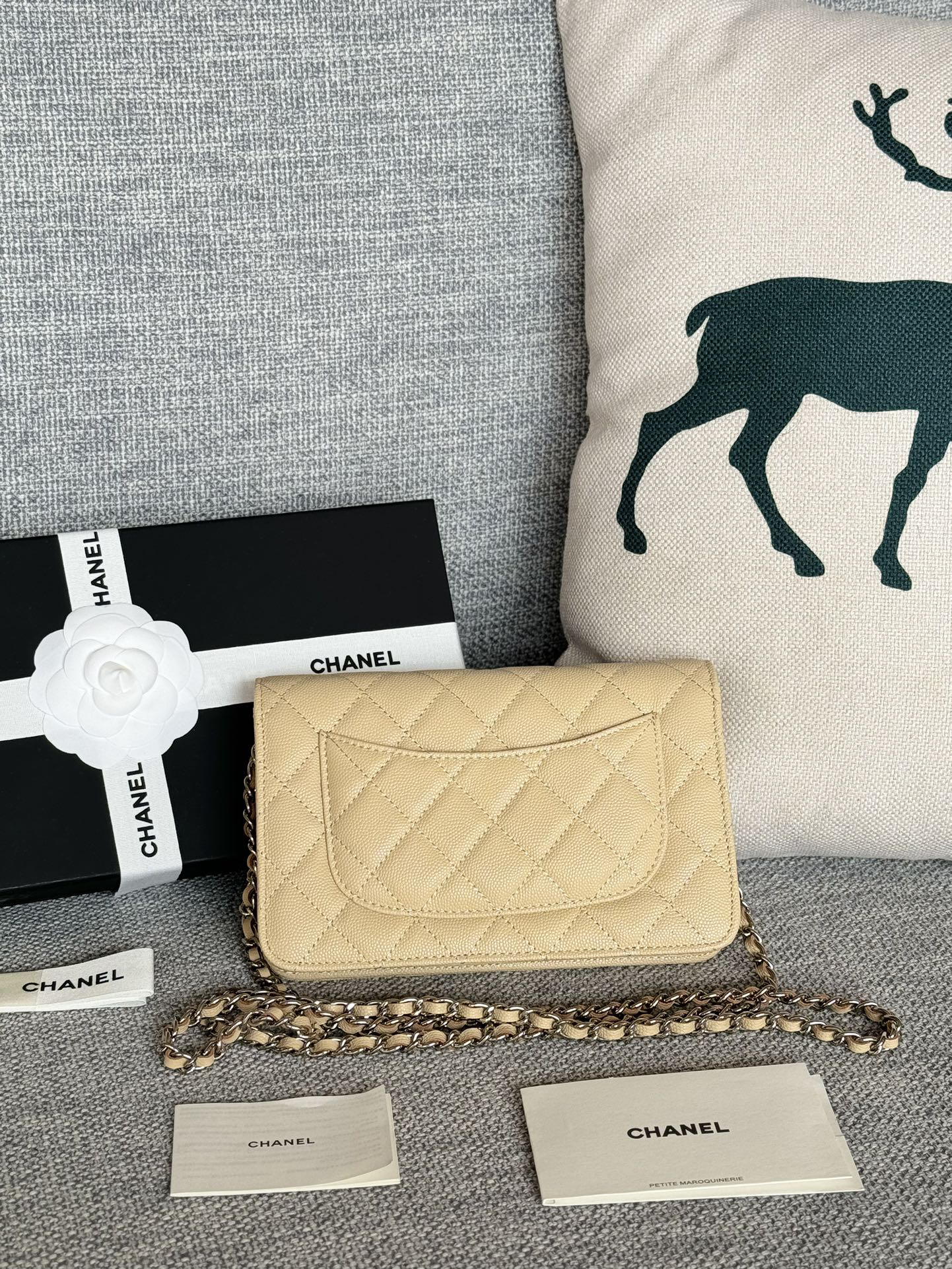 [TOP] CHANEL Woc Bag Cowhide 19x12x3cm - Apricot & SHW - 711 Luxury