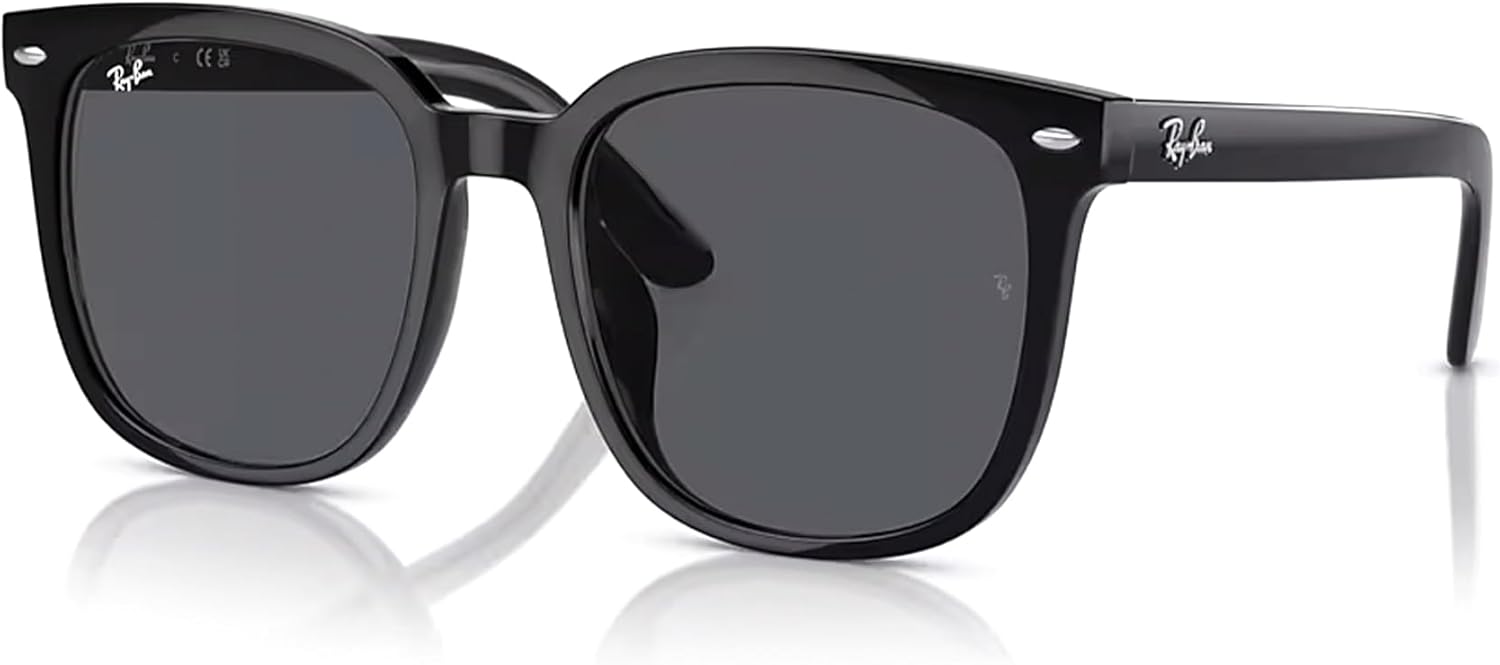 Ray-Ban RB4401D Square Sunglasses for Men for Women +BUNDLE with ACCESSORY EYEWEAR KIT