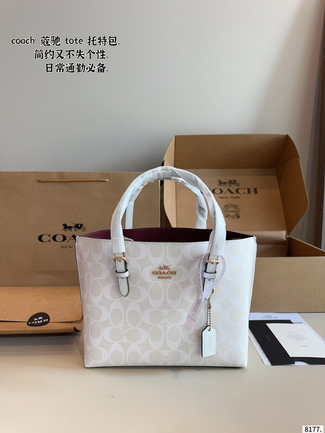Coach Mollie Canvas Tote Bag with Leather Accents (Replica)