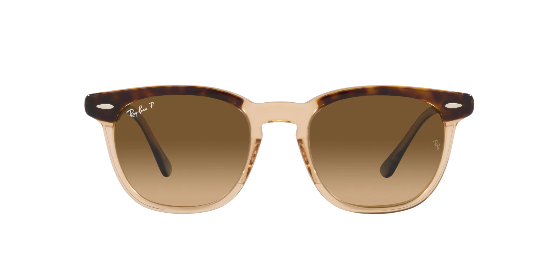 Hawkeye - Havana On Transparent Brown | Brown Gradient Polar - 52mm