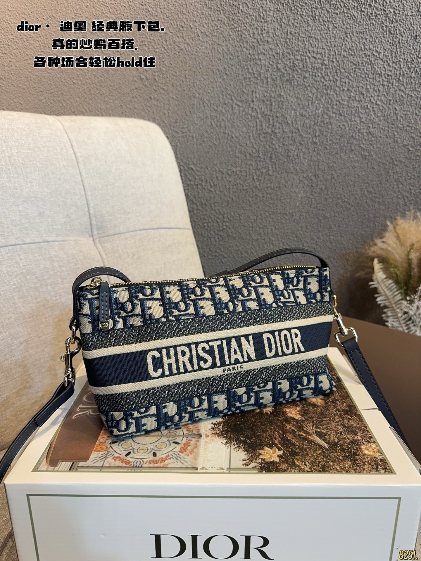 Dior Canvas Underarm Bag with Zipper Closure and Detachable Strap (Replica)