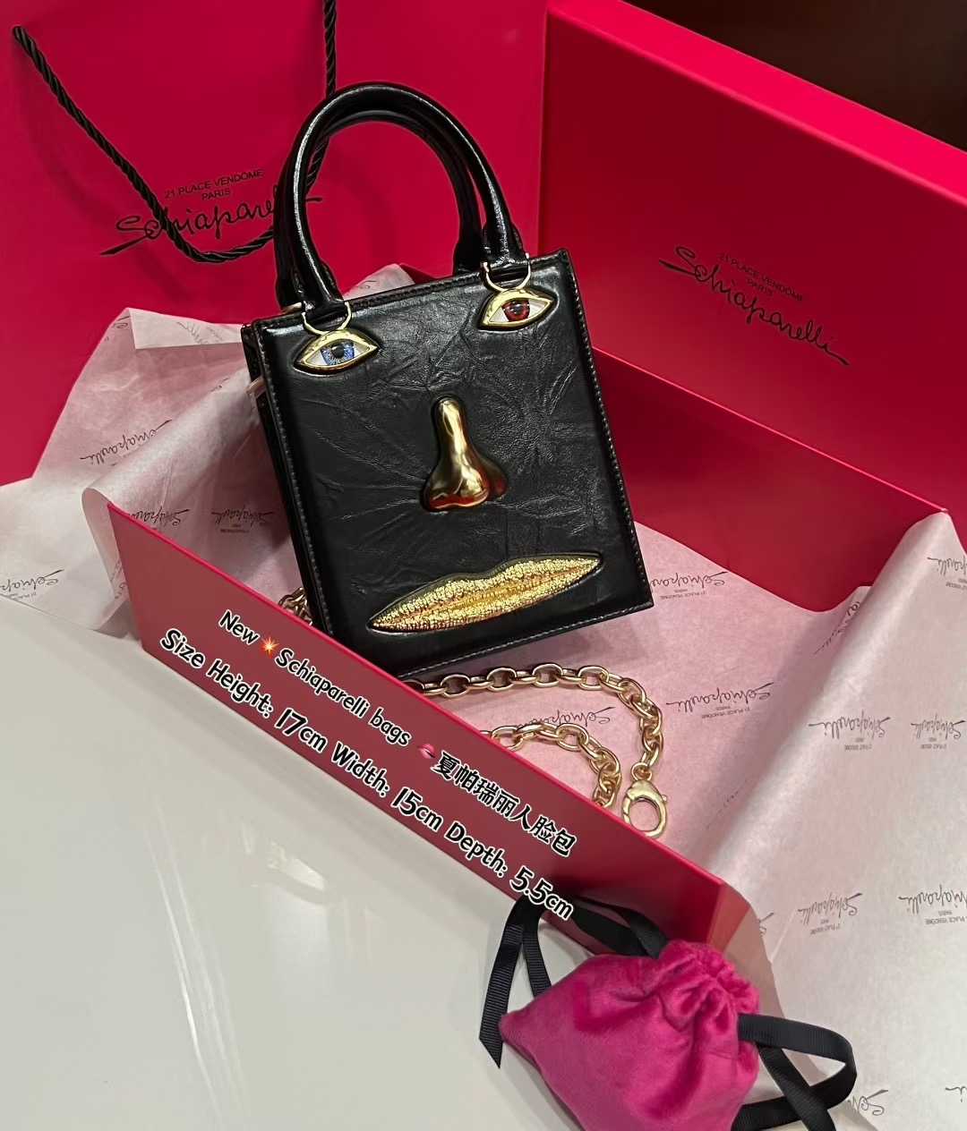 [TOP] Schiaparelli Anatomy Face Bag 17x15x5.5cm - Black - 711 Luxury