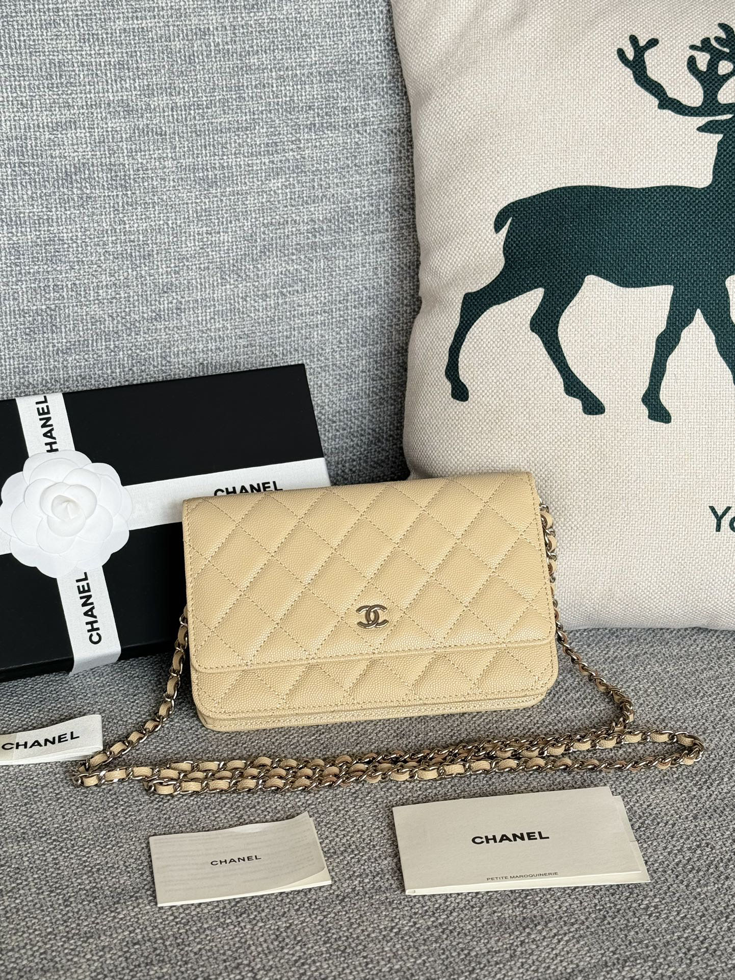 [TOP] CHANEL Woc Bag Cowhide 19x12x3cm - Apricot & SHW - 711 Luxury
