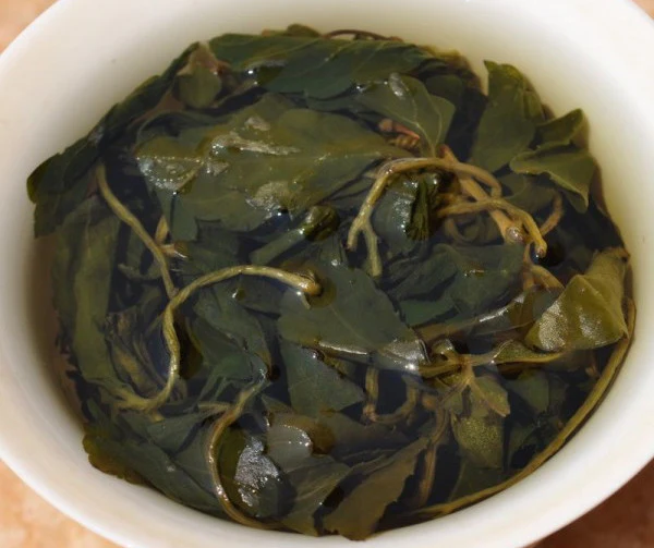 Yunnan Wild Grown Jiaogulan * Gynostemma pentaphyllum