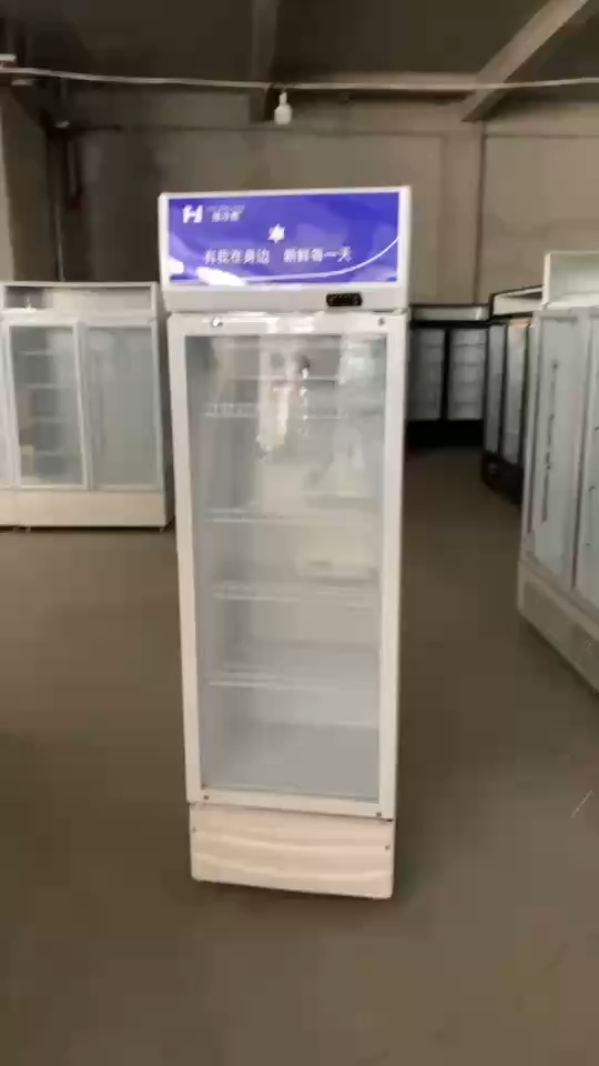 Single door-Beverage cooler - Refrigerator - Display case--0.75CBM
