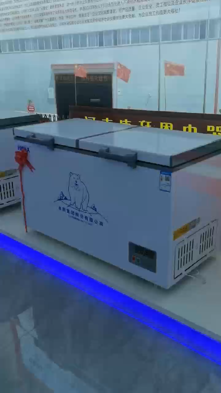 728L 2m freezer---1.5CBM