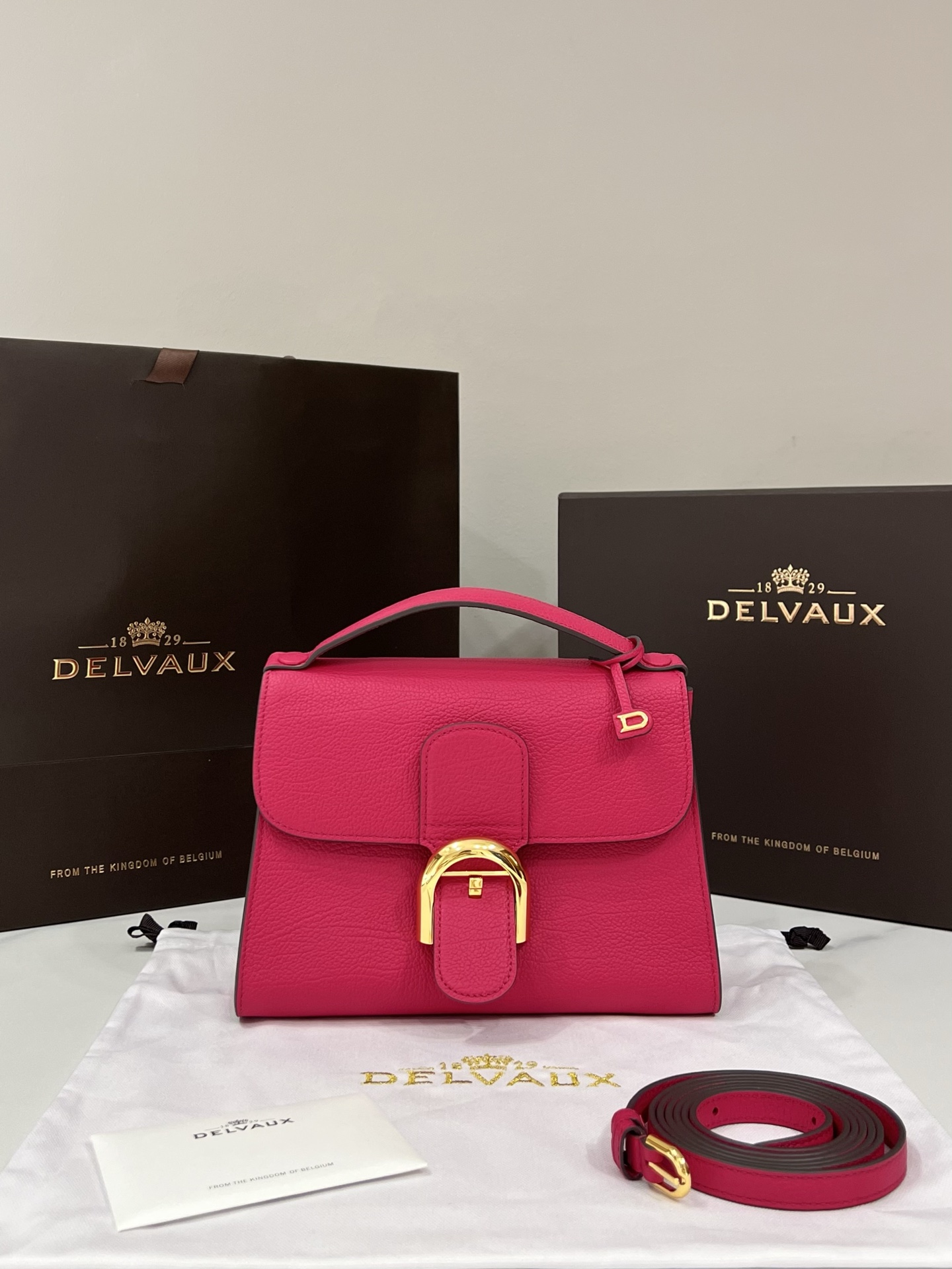 [TOP] Delvaux Tem Bag Cowhide 23x17x6cm - Pink - 711 Luxury
