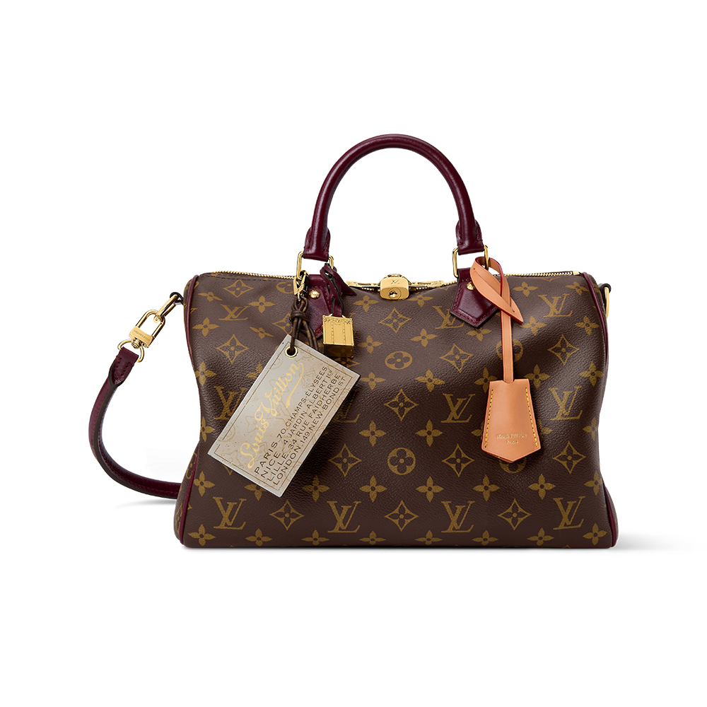 LOUIS VUITTON Speedy 30 Soft Celebration Monogram Women Bags #376305
