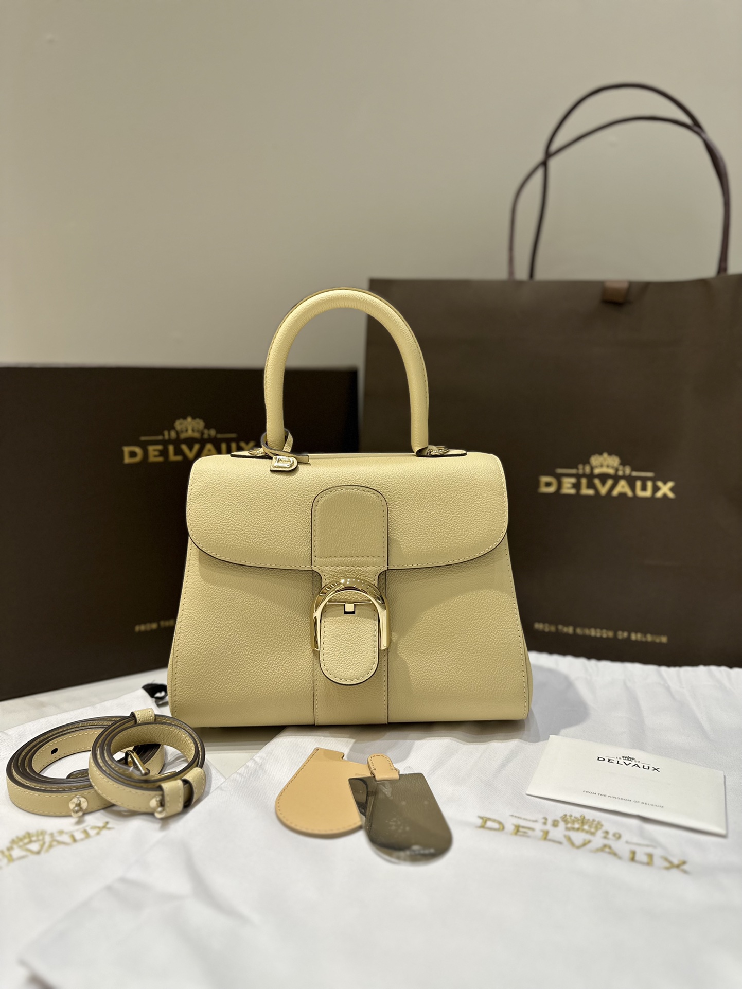 [TOP] Delvaux Brillant Bag Calfskin 24x12x19cm - Sand Dune Color - 711 Luxury