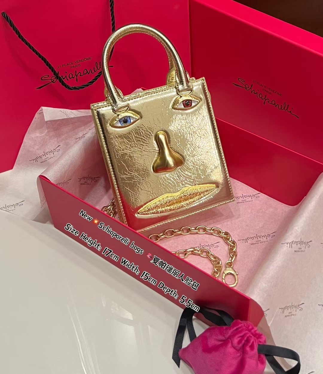 [TOP] Schiaparelli Anatomy Face Bag 17x15x5.5cm - Gold - 711 Luxury