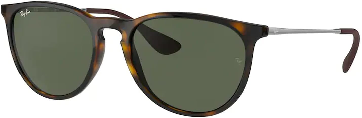 Ray-Ban RB4171 ERIKA Round Sunglasses For Women +BUNDLE with ACCESSORY EYEWEAR KIT