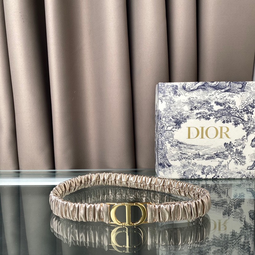 [TOP] Christian Dior Belt Cowhide 20mm - Silver - 711 Luxury