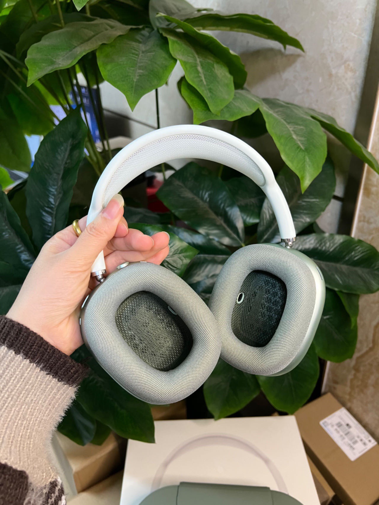 Max V3 (1st Generation) 5 Colour Collection - Lightning