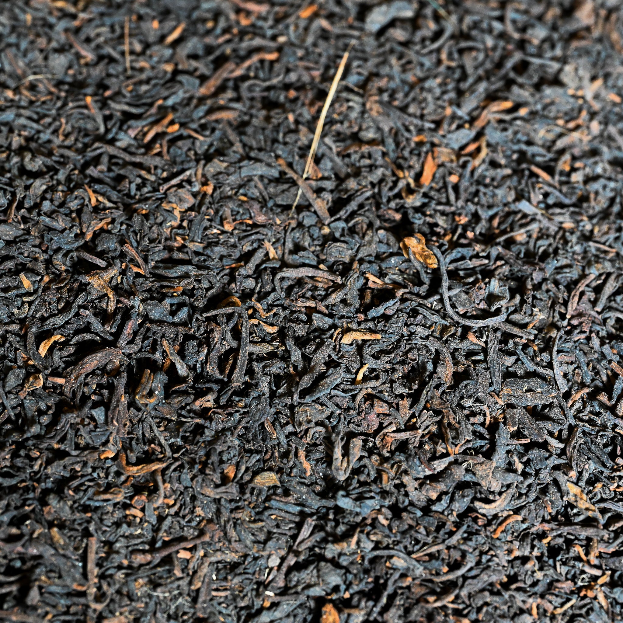 Guangxi Liu Bao Loose Leaf Tea  1992 (Ripe/Shou)€75.95Pu-erh TeamySiteTEAWAVYTEAWAVY
