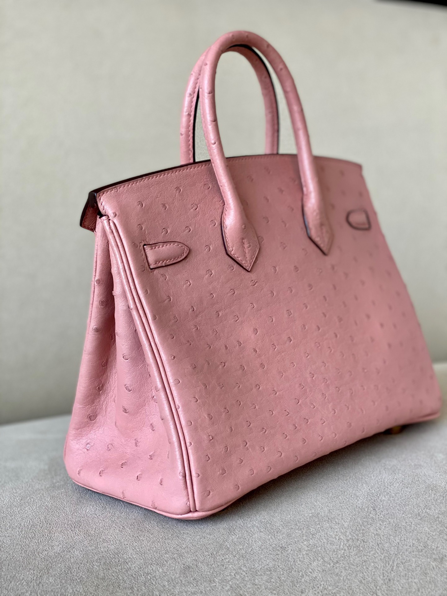 Advanced customization Birkin 25-30 Ostrich skin