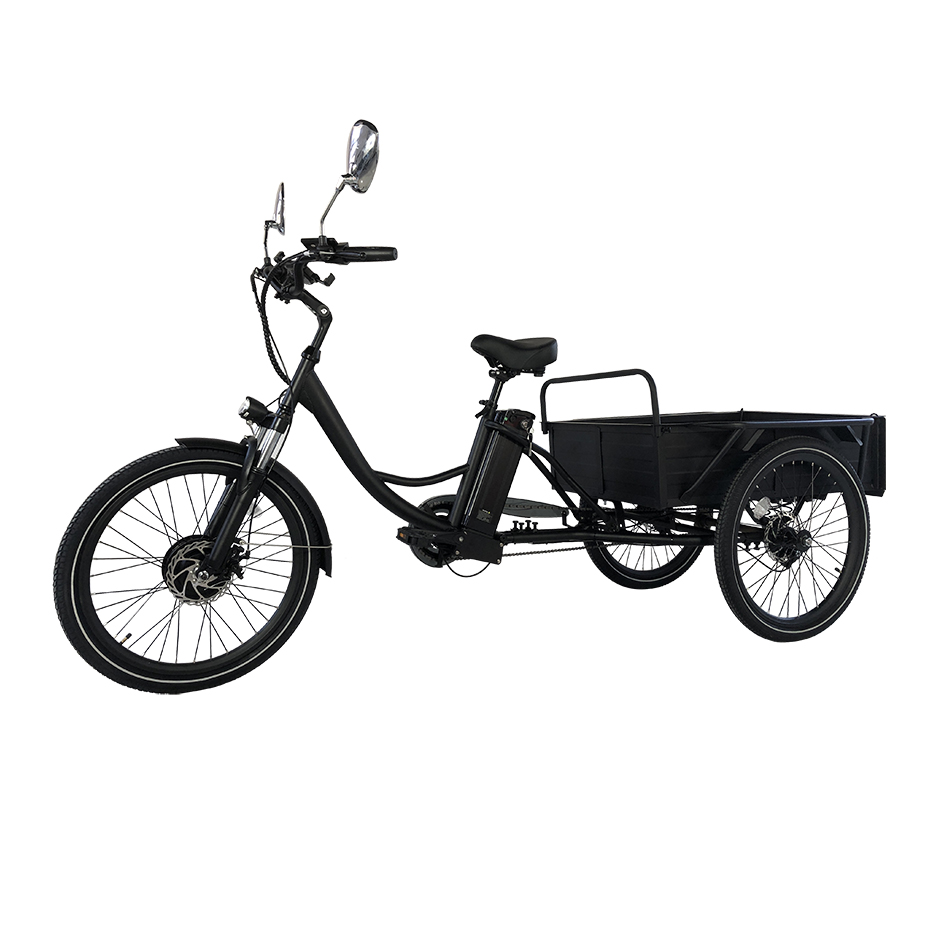 Electric tricycle  Cemoto-CEM-ET01C