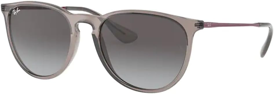 Ray-Ban RB4171 ERIKA Round Sunglasses For Women +BUNDLE with ACCESSORY EYEWEAR KIT