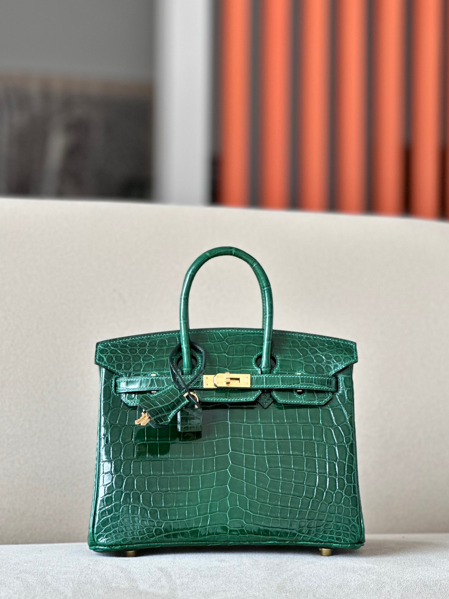 Advanced customization Birkin 25-30 crocodile skin crocodile skin
