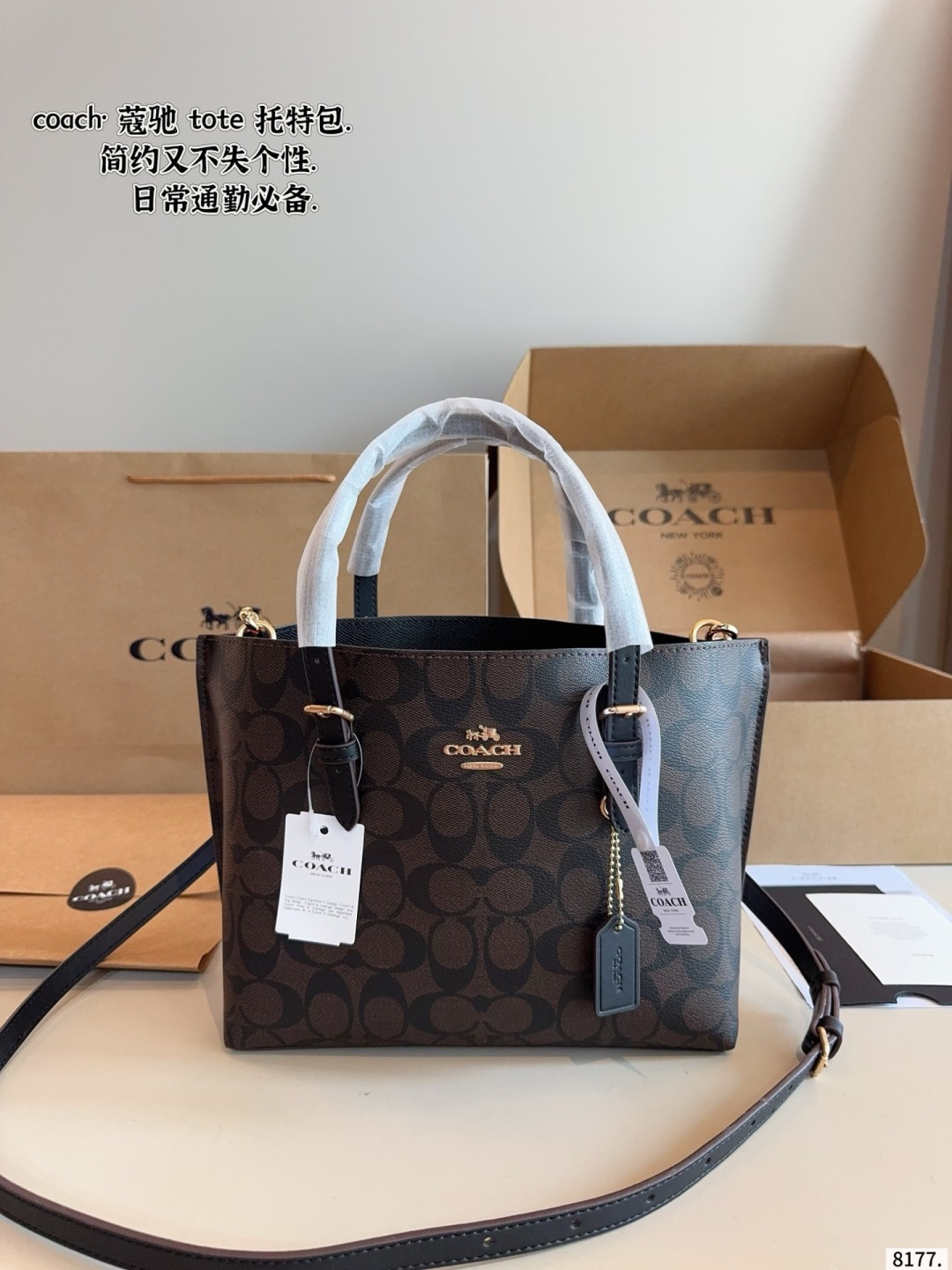 Coach Mollie Tote Bag Canvas with Leather Trim (Replica)