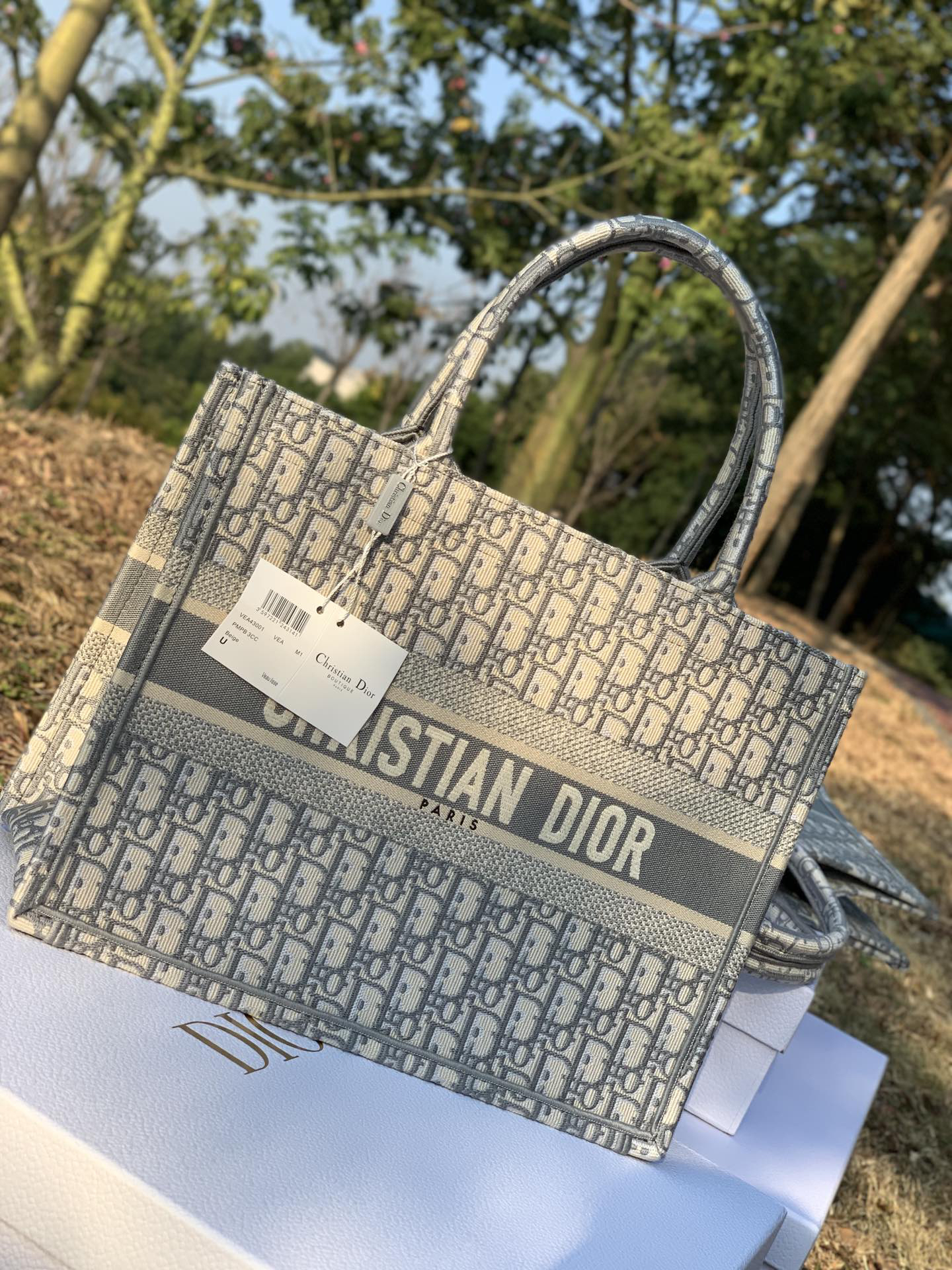[TOP] Christian Dior Book Tote Bag 36.5x28x17.5cm - Gray