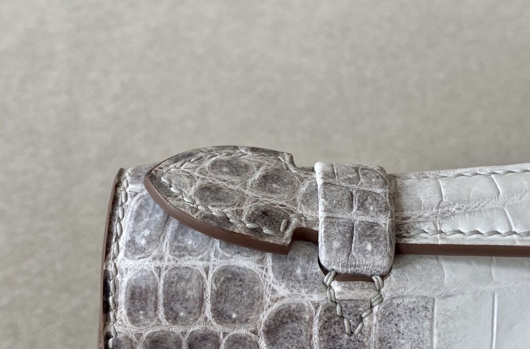 Hermes Himalayan Kelly1 Mini 22 crocodile skin