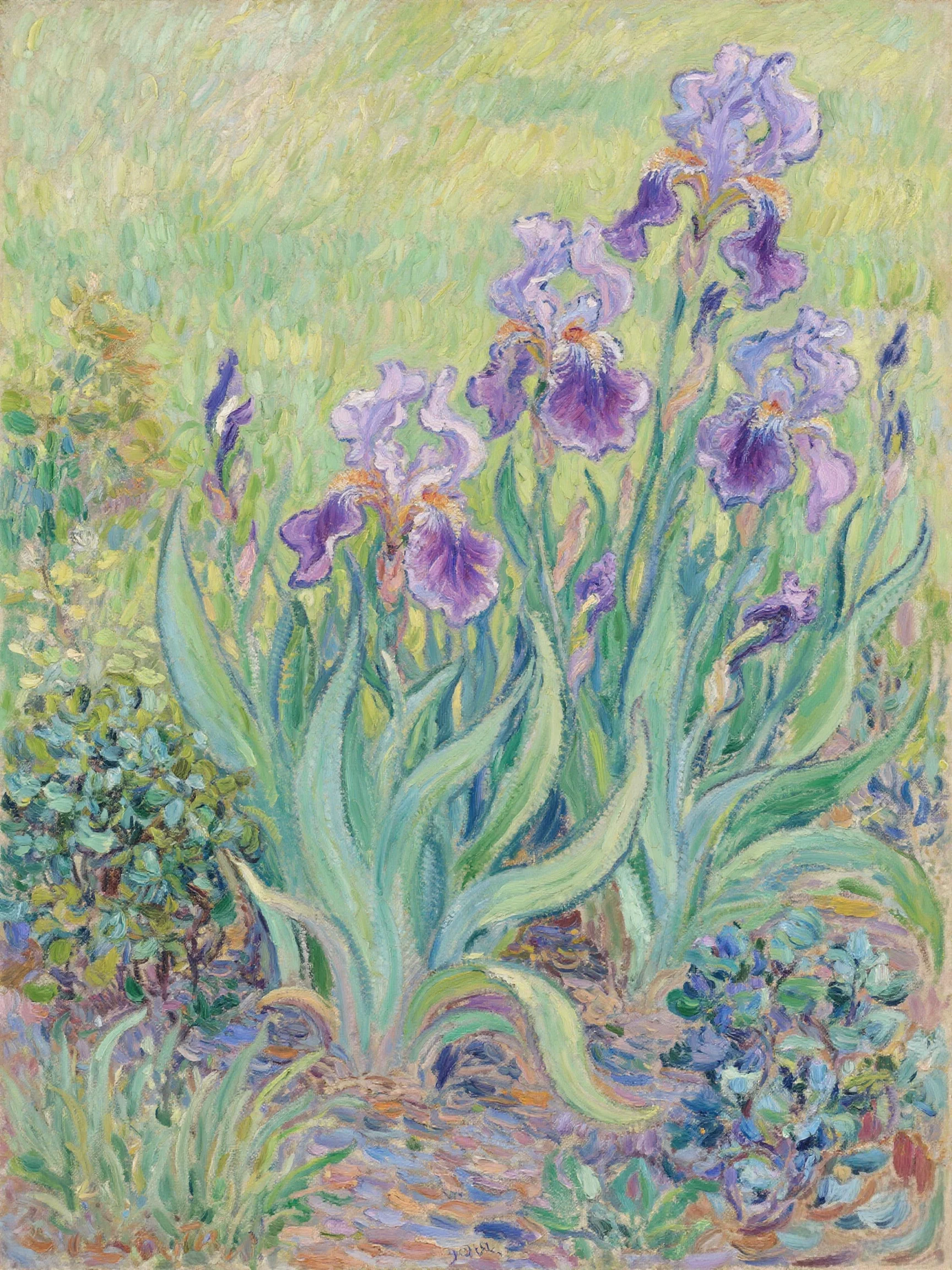 Fragrant Flowers and Green Grass