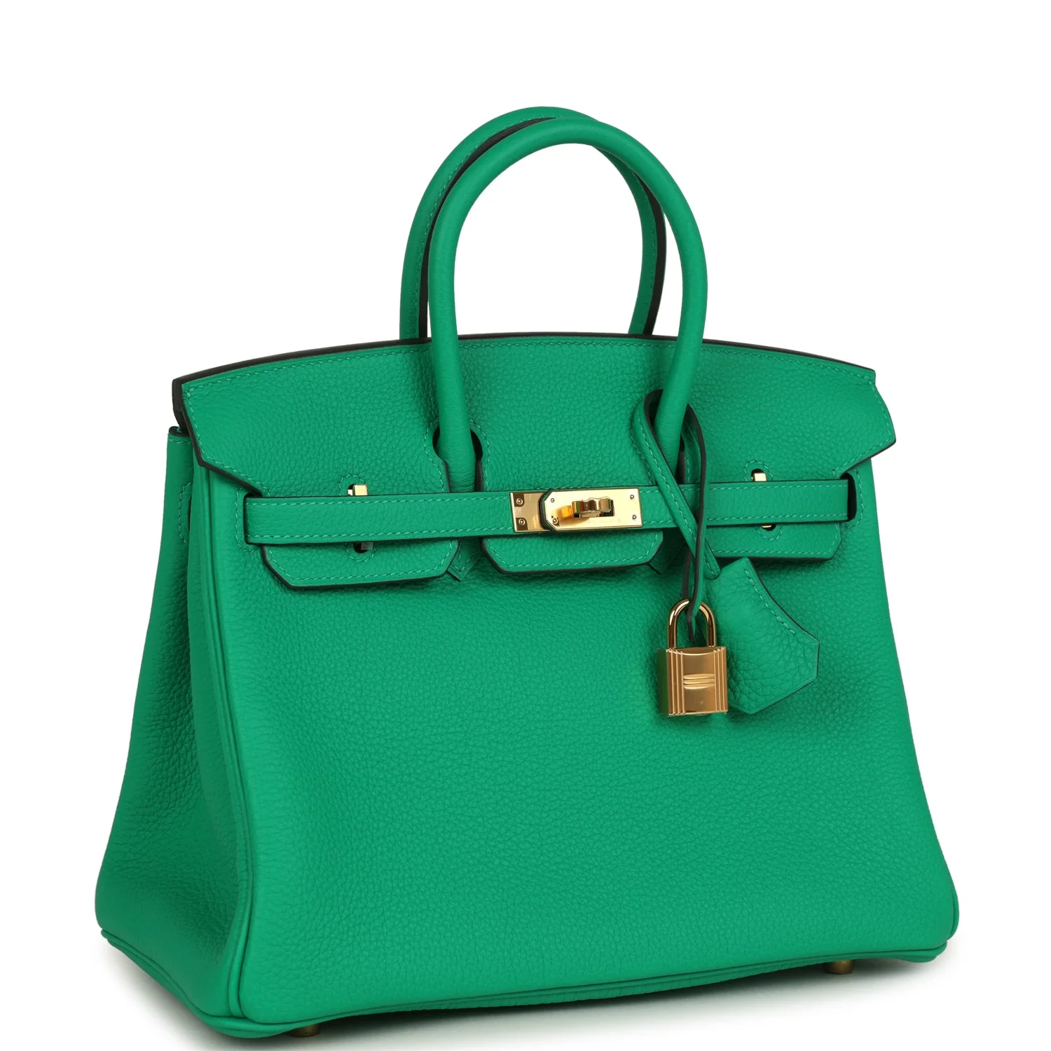 Hermes BirkinMenthe Togo Gold Hardware