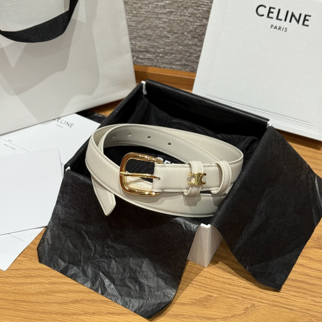 Celine Belt Celine TAURILLON VIVIENNE 25mm Belt #387497 View 2 | Nigo Office