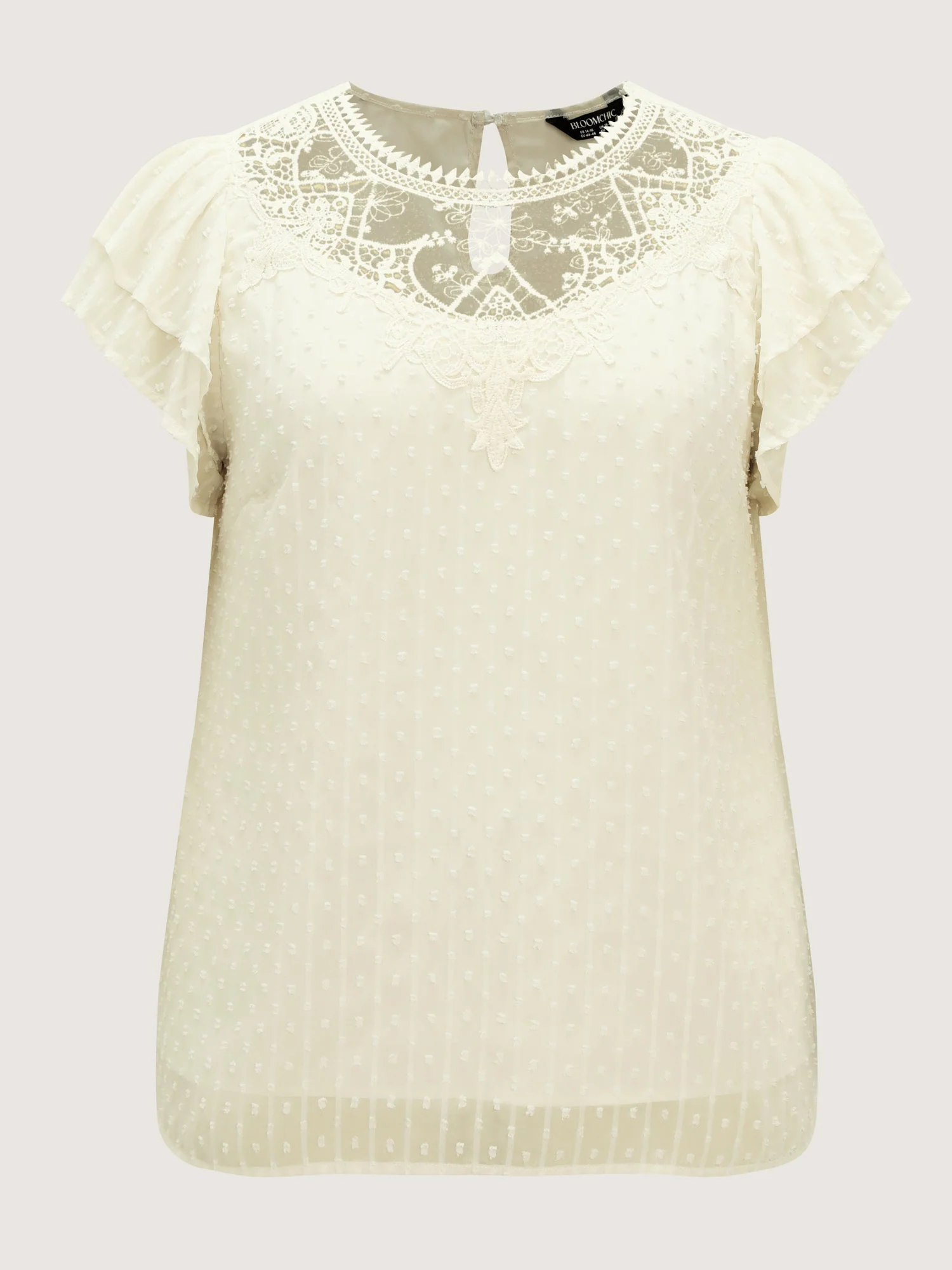 Sheer Lace Neckline Layered Sleeve Blouse