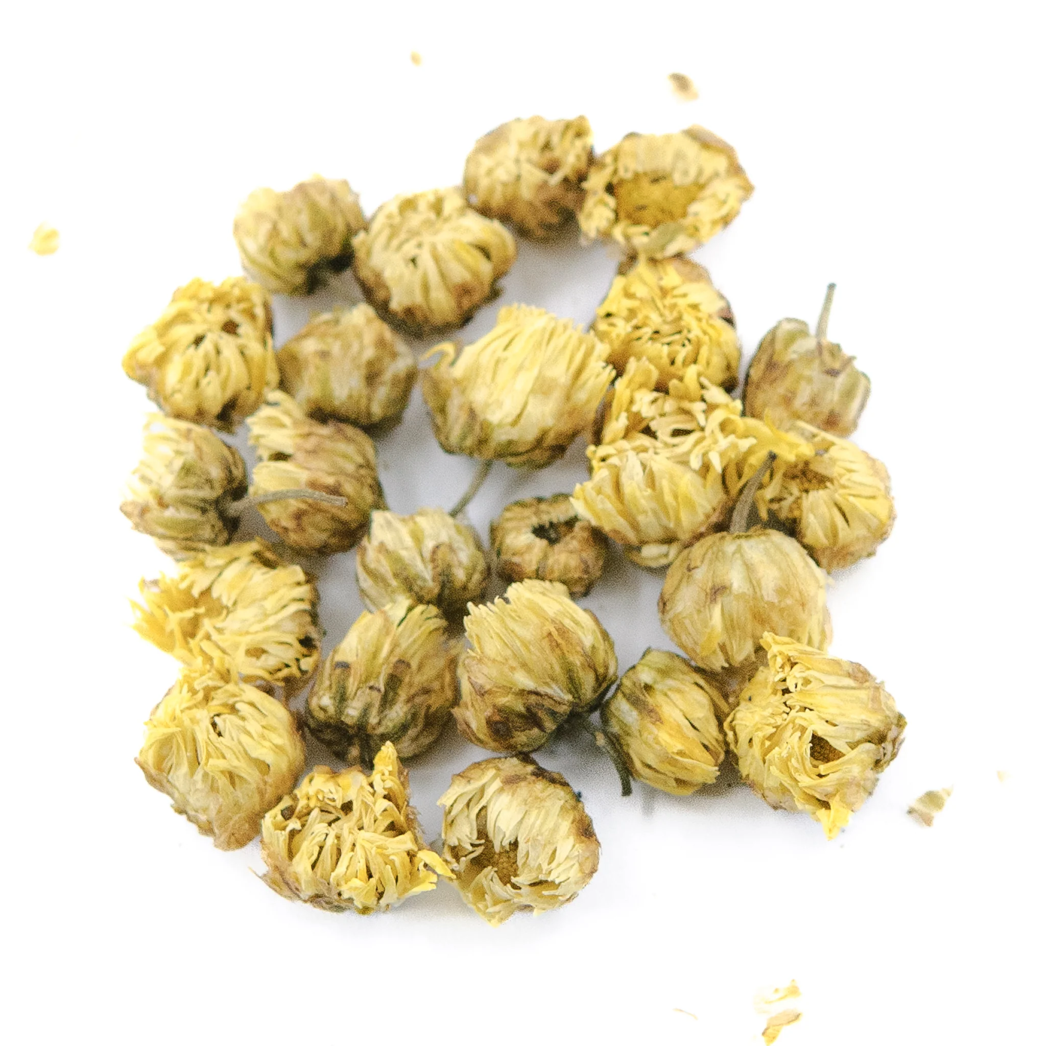 Premium Chrysanthemum Tai Flower Tea