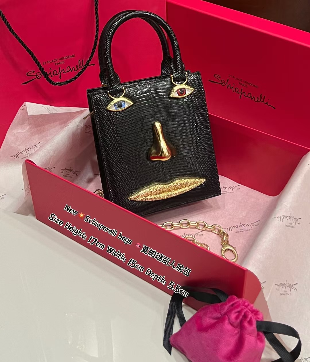 [TOP] Schiaparelli Anatomy Face Bag 17x15x5.5cm - Black - 711 Luxury