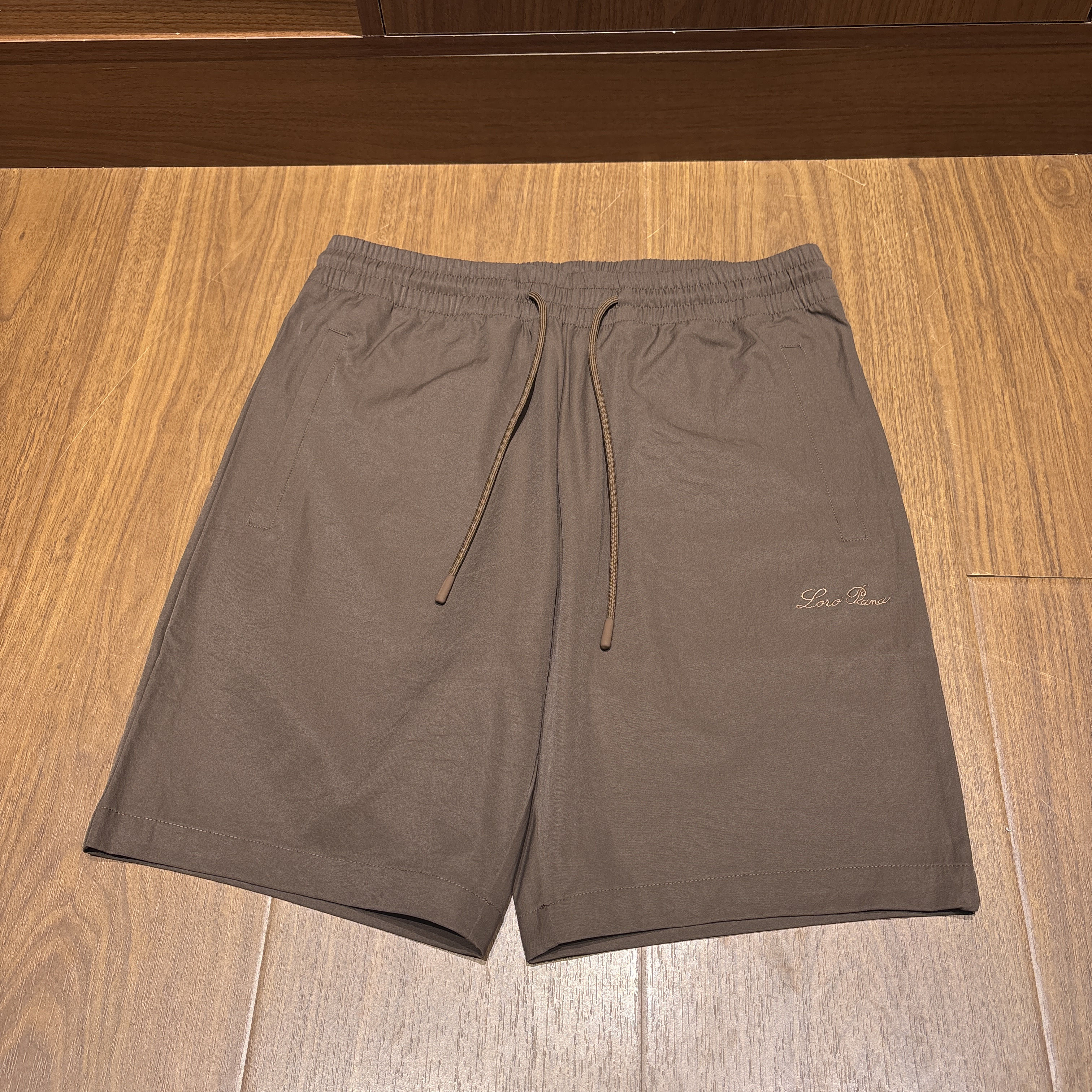 Loro Piana Men's Casual Shorts #384971