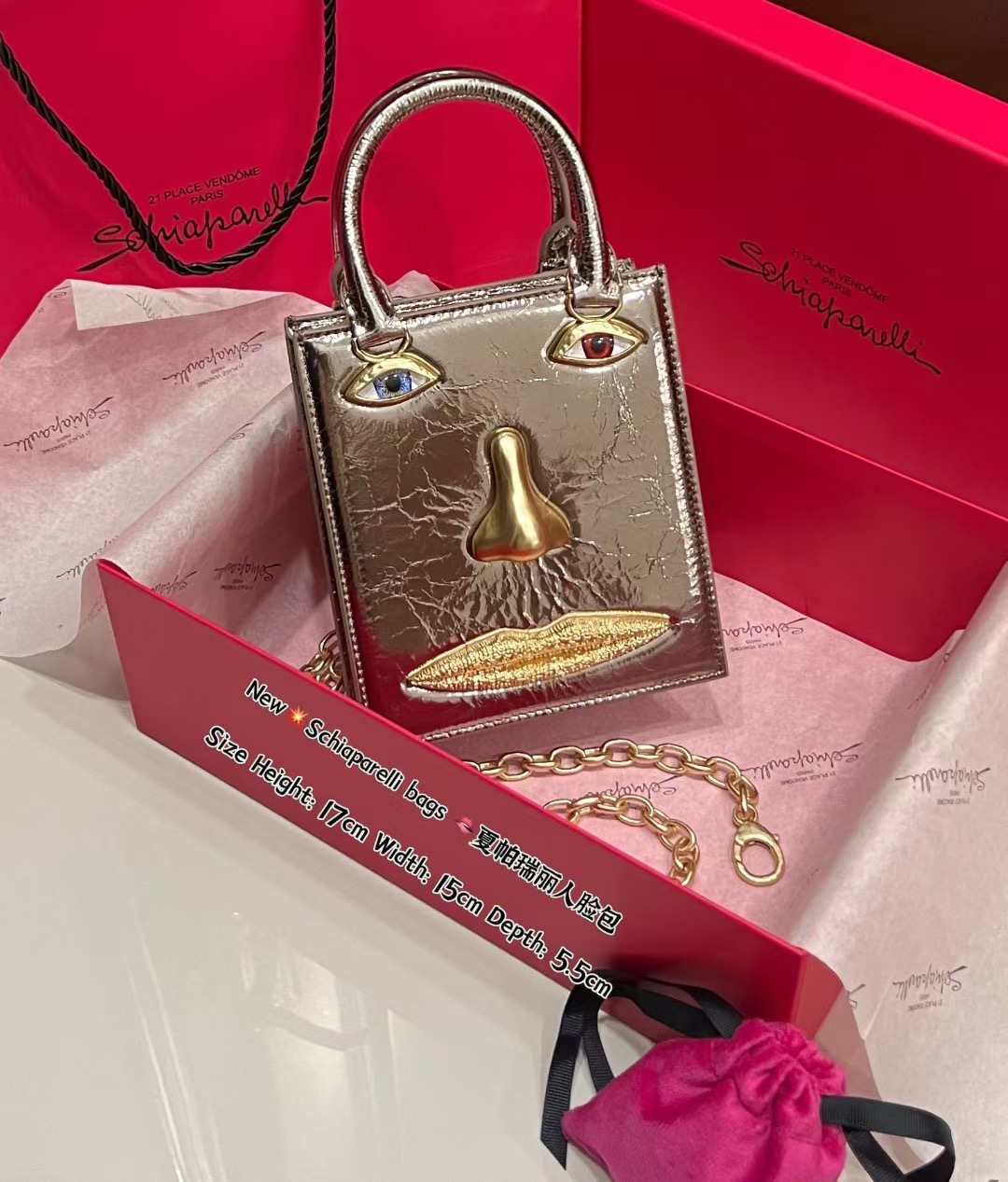 [TOP] Schiaparelli Anatomy Face Bag 17x15x5.5cm - Metallic Color - 711 Luxury