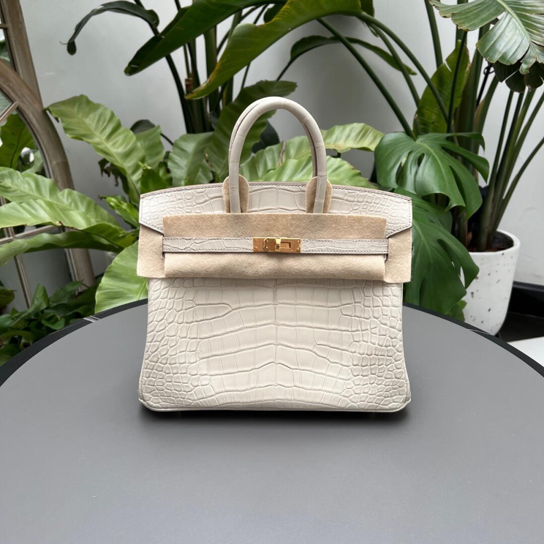 Hermès Birkin25 Glacier White Matte Block Crocodile