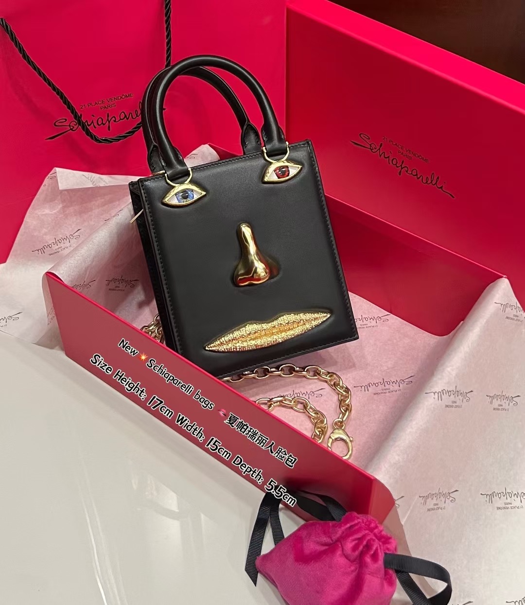 [TOP] Schiaparelli Anatomy Face Bag 17x15x5.5cm - Black - 711 Luxury