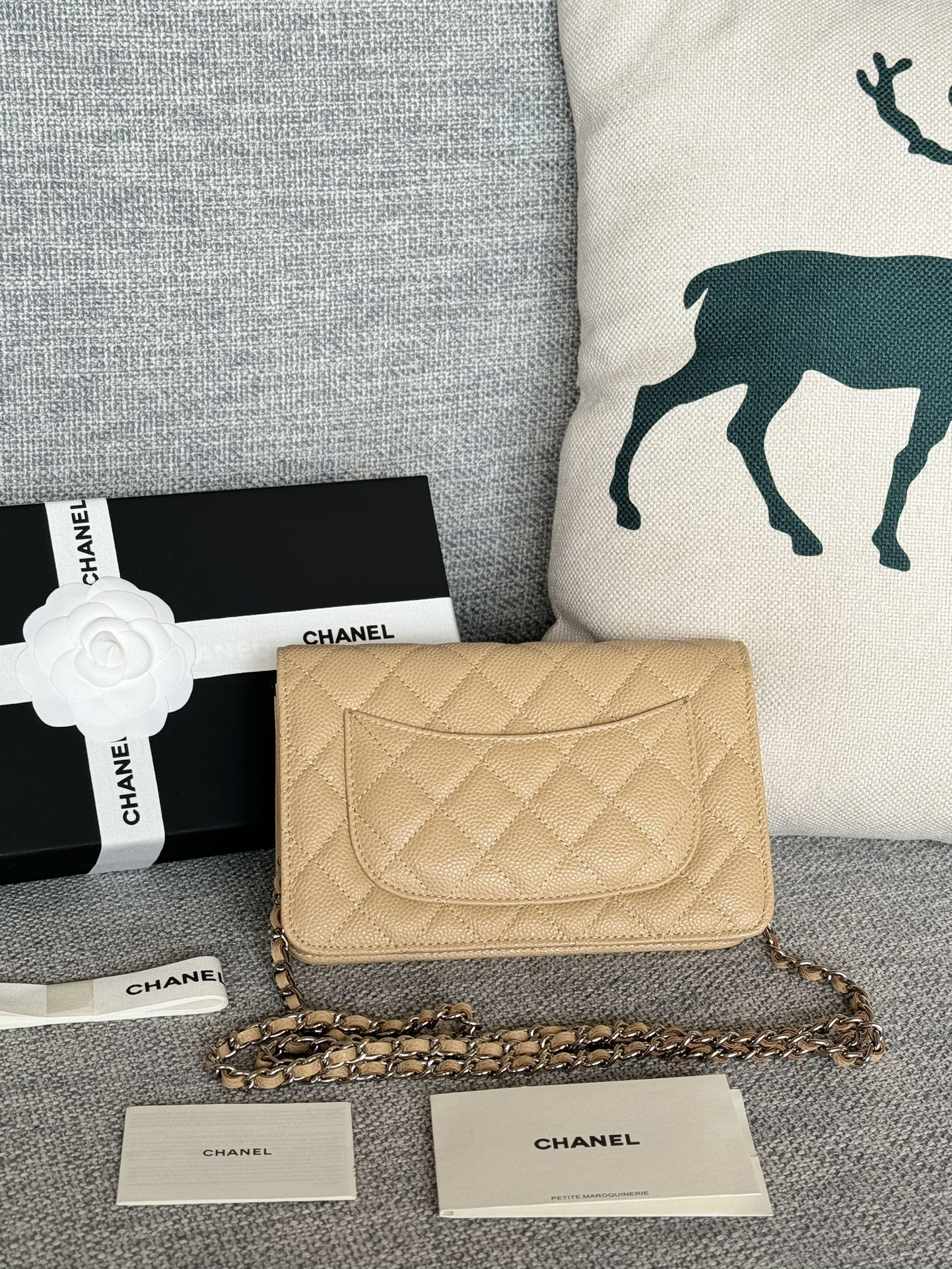 [TOP] CHANEL Woc Bag Cowhide 19x12x3cm - Khaki & SHW - 711 Luxury