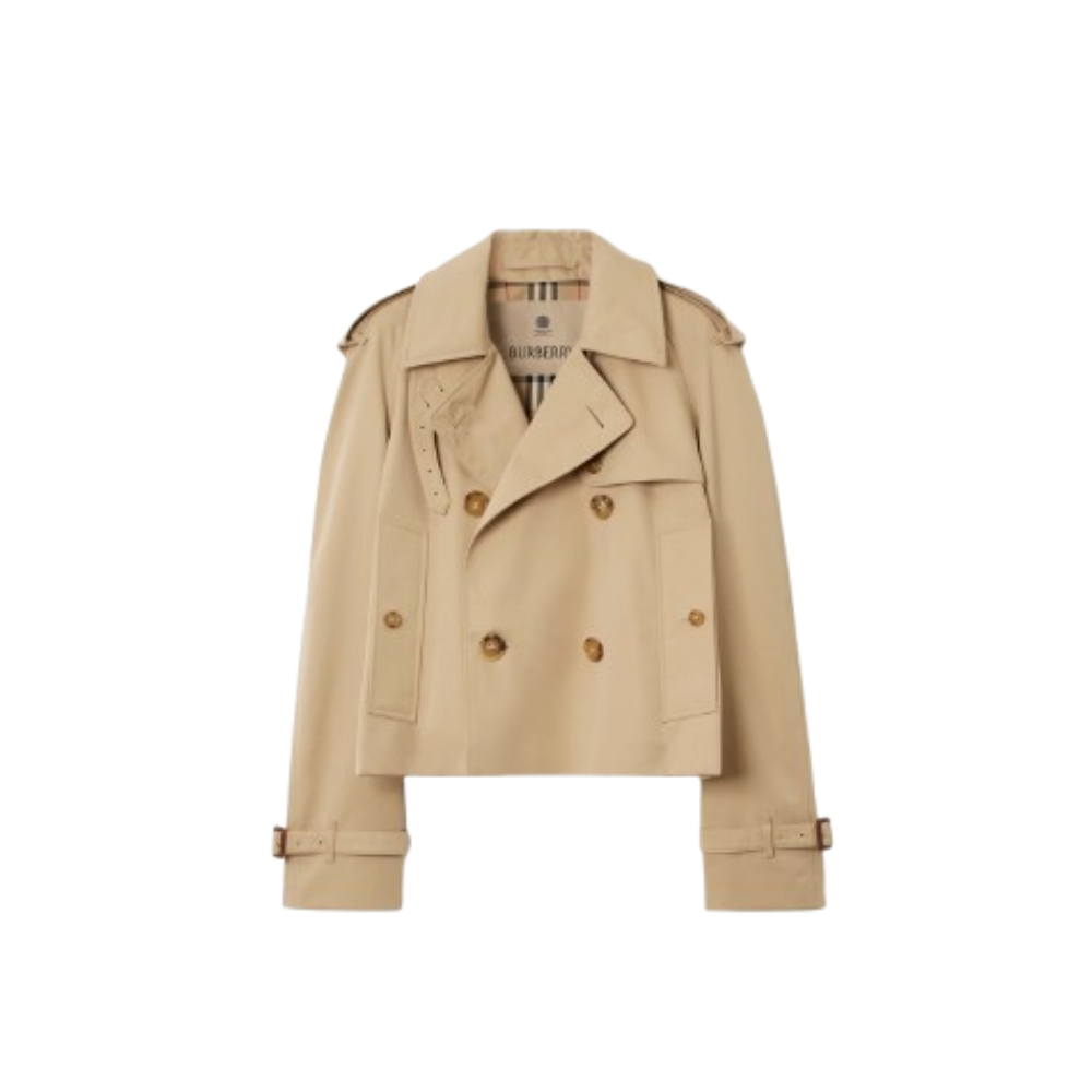 BURBERRY Clothes - 711 Luxury