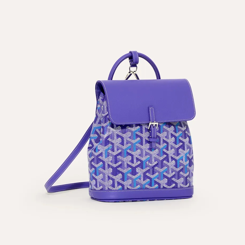 Goyard Bag Goyard Alpin Mini Backpack Multicolored #388946 | Nigo Office