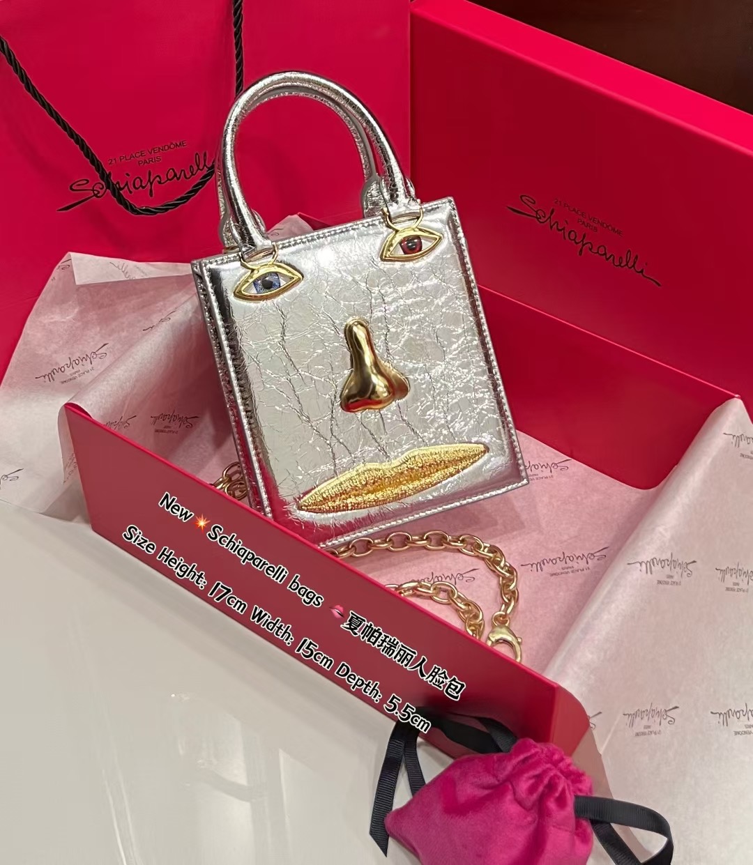 [TOP] Schiaparelli Anatomy Face Bag 17x15x5.5cm - Silver - 711 Luxury