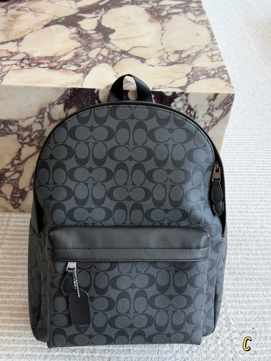 Coach West Men's Backpack in Black Leather with Signature Pattern (Replica)