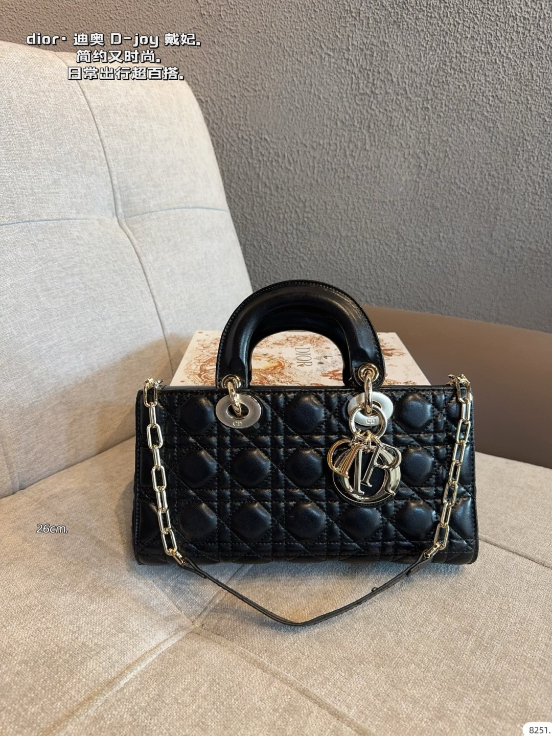 Dior Lady D-joy Quilted Leather Handbag with Detachable Chain Strap (Replica)