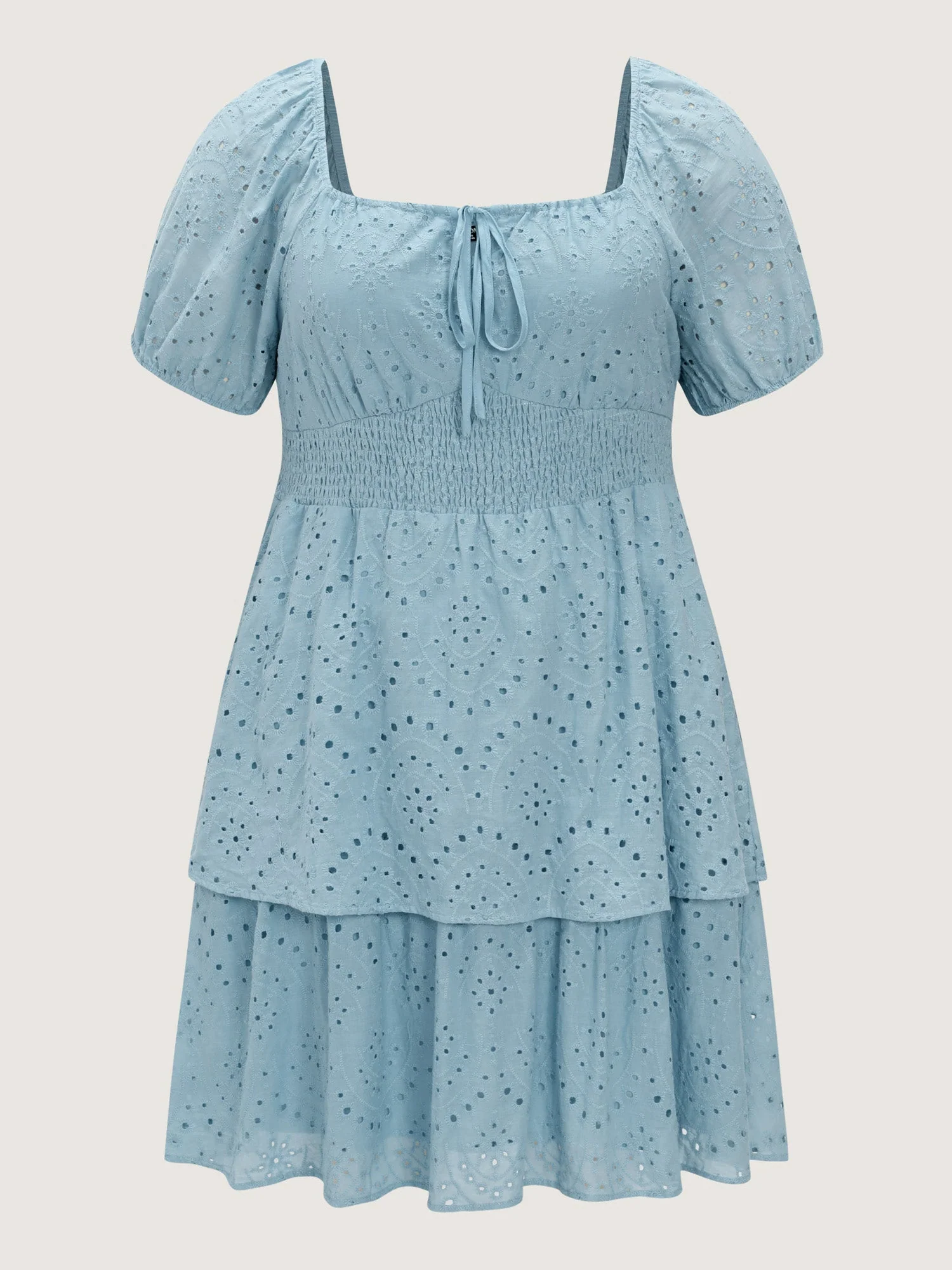 Eyelet Embroidered Cinched Waist Mini Dress
