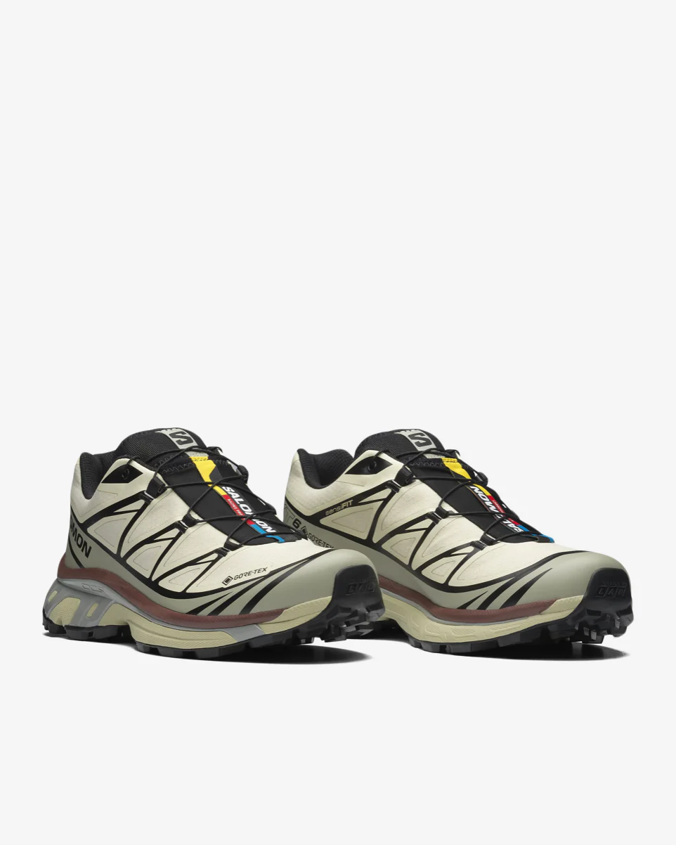 XT-6 GTX - ASPARGUS/TEA