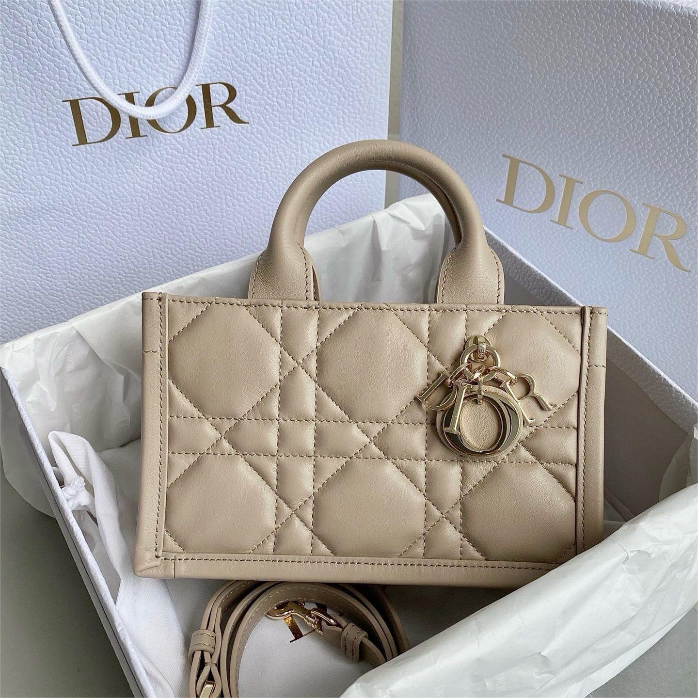 Dior-Book Tote24-21.5