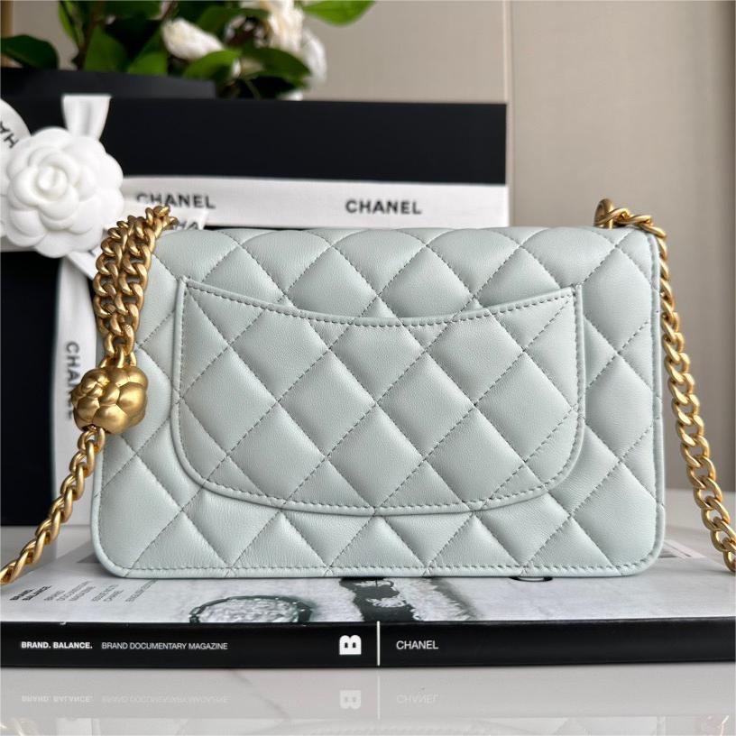Chanel -23S woc Bag-19cm