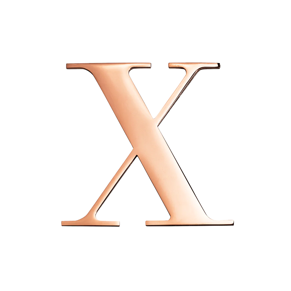 Metal Letter Key Ring (Rose Gold)